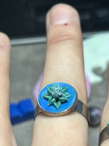 Top view of Cannabis purple haze bud ring